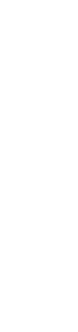 项目展示